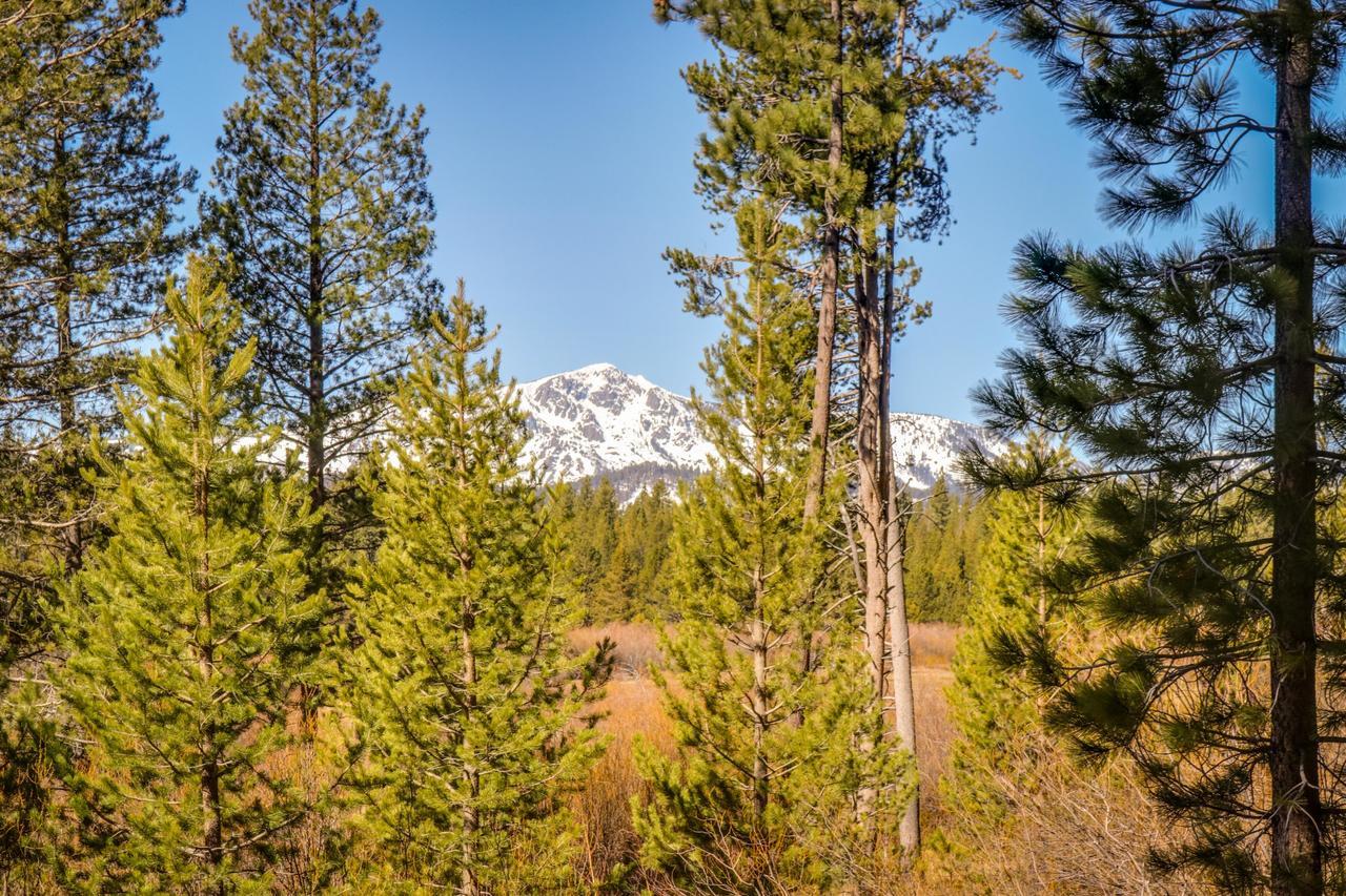 Villa Cozy Seclusion South Lake Tahoe Esterno foto